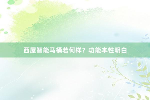 西屋智能马桶若何样?功能本性明白